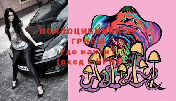 гидропоника Ельня