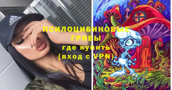 гидропоника Ельня