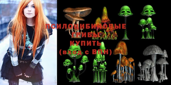 mix Елабуга