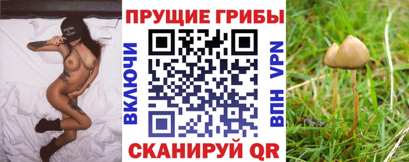 Купить Сухой Лог Псилоцибиновые грибы мухоморы